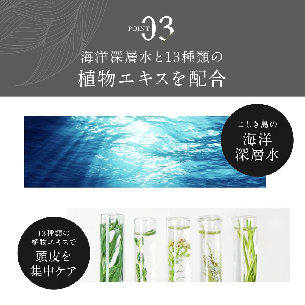 KIWABI Root Vanish Anti Gray Hair Serum – Lightweight Daily Scalp Serum for Pigment Support (30ml)