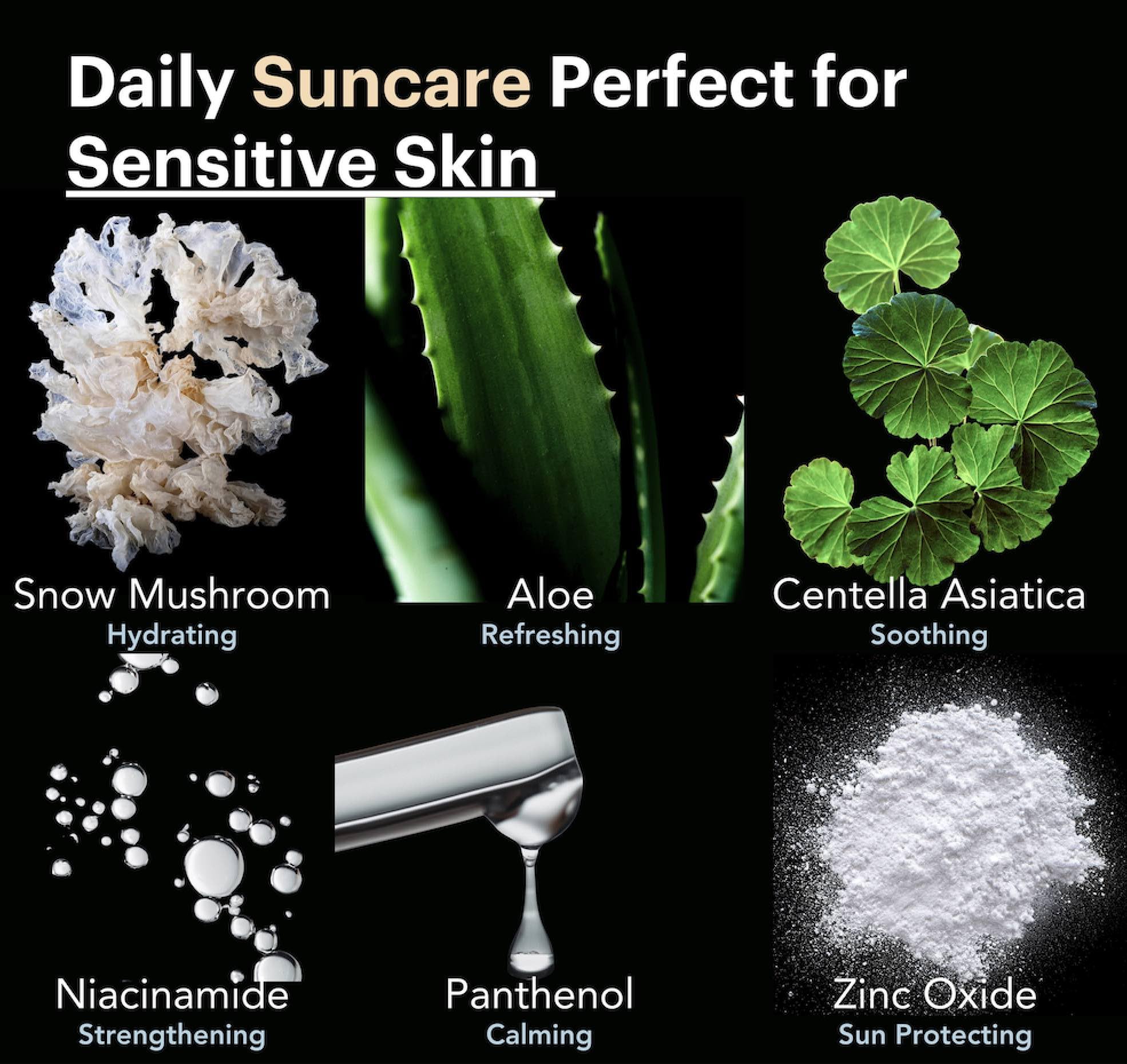 KOOLSOL by Knours — Mineral SPF 50 Sunscreen with Zero White Cast | Reef Safe, Made in USA