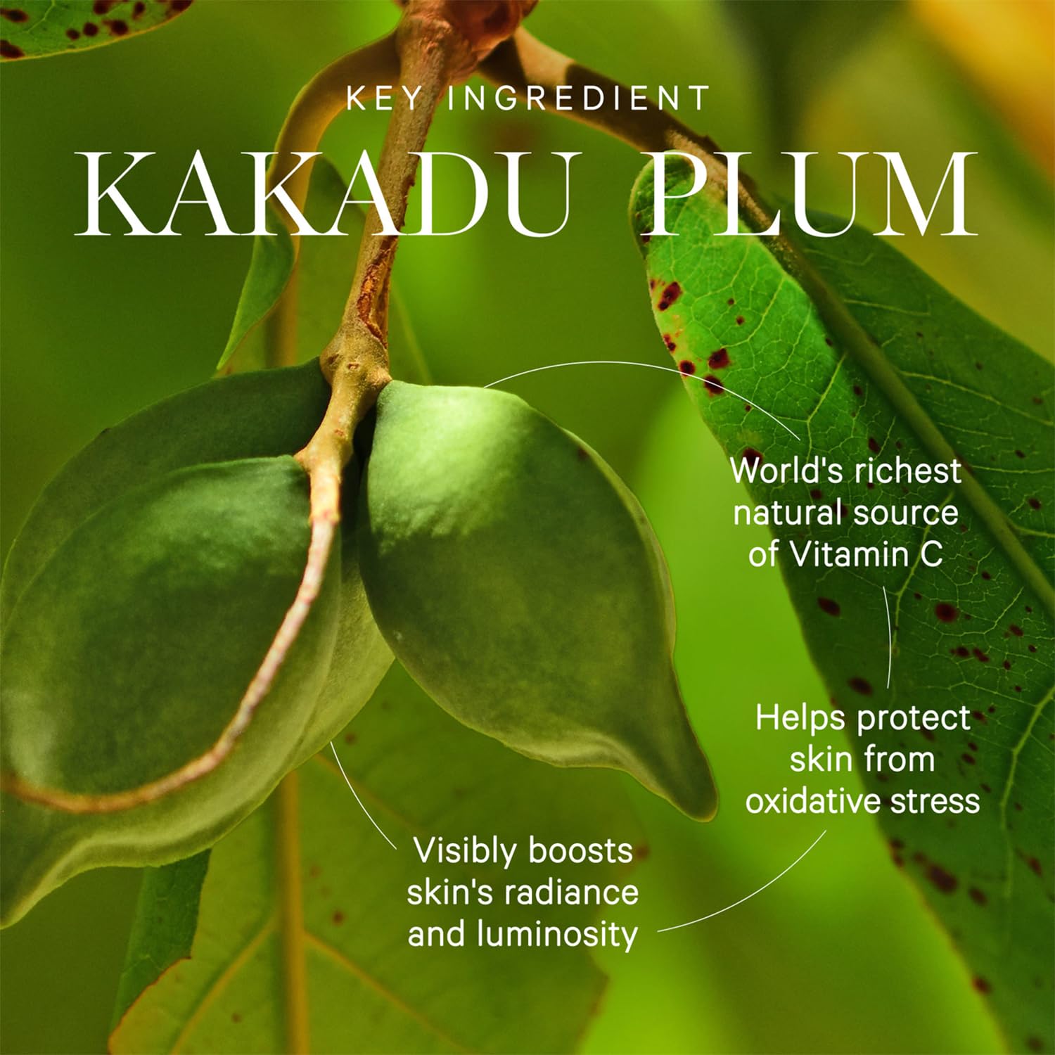 KORA Organics Kakadu Plum Vitamin C Serum – Antioxidant Facial Serum with Hyaluronic Acid