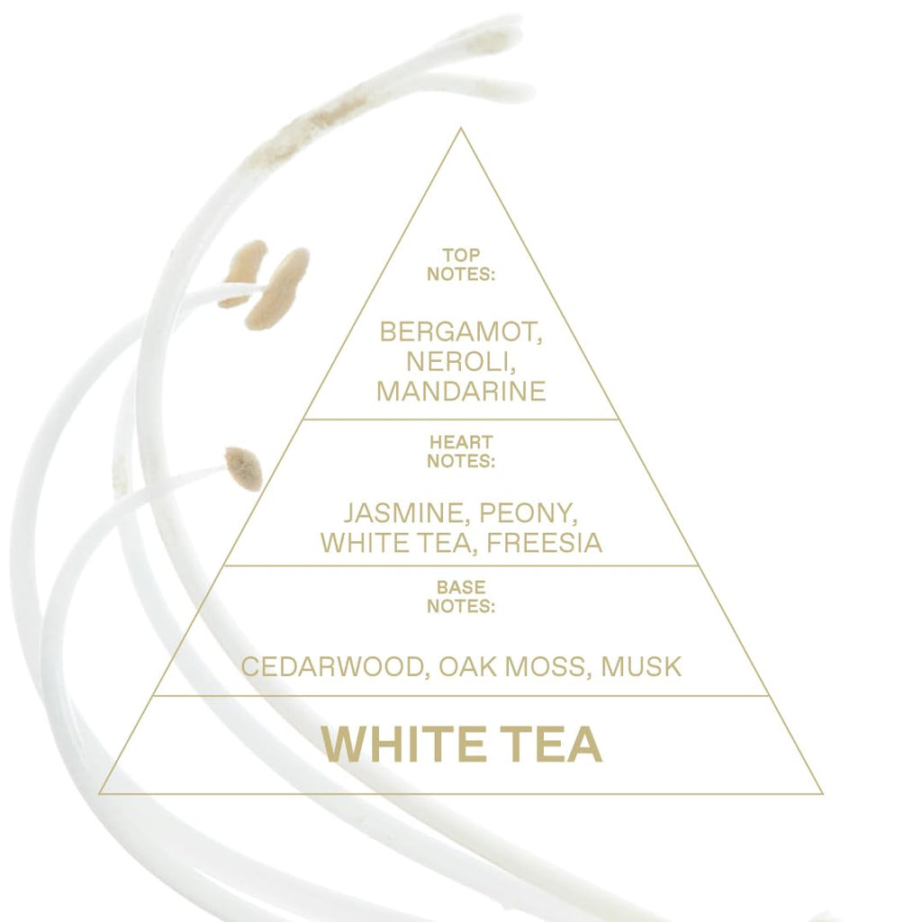 KORRES White Tea Eau de Toilette 10ml – Fresh, Subtle & Versatile