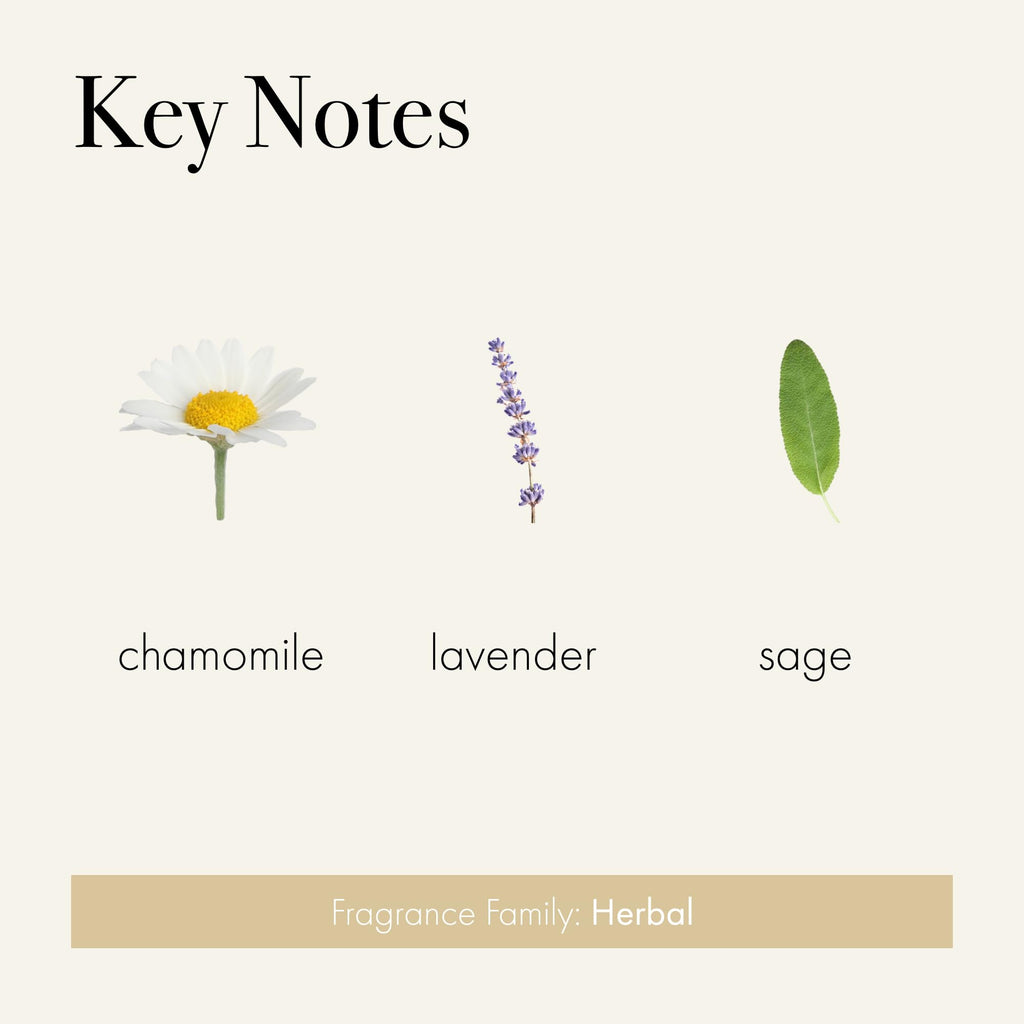 LAFCO New York Hand Care Trio – Chamomile Lavender | Soap, Cream & Ceramic Tray | Made in Italy