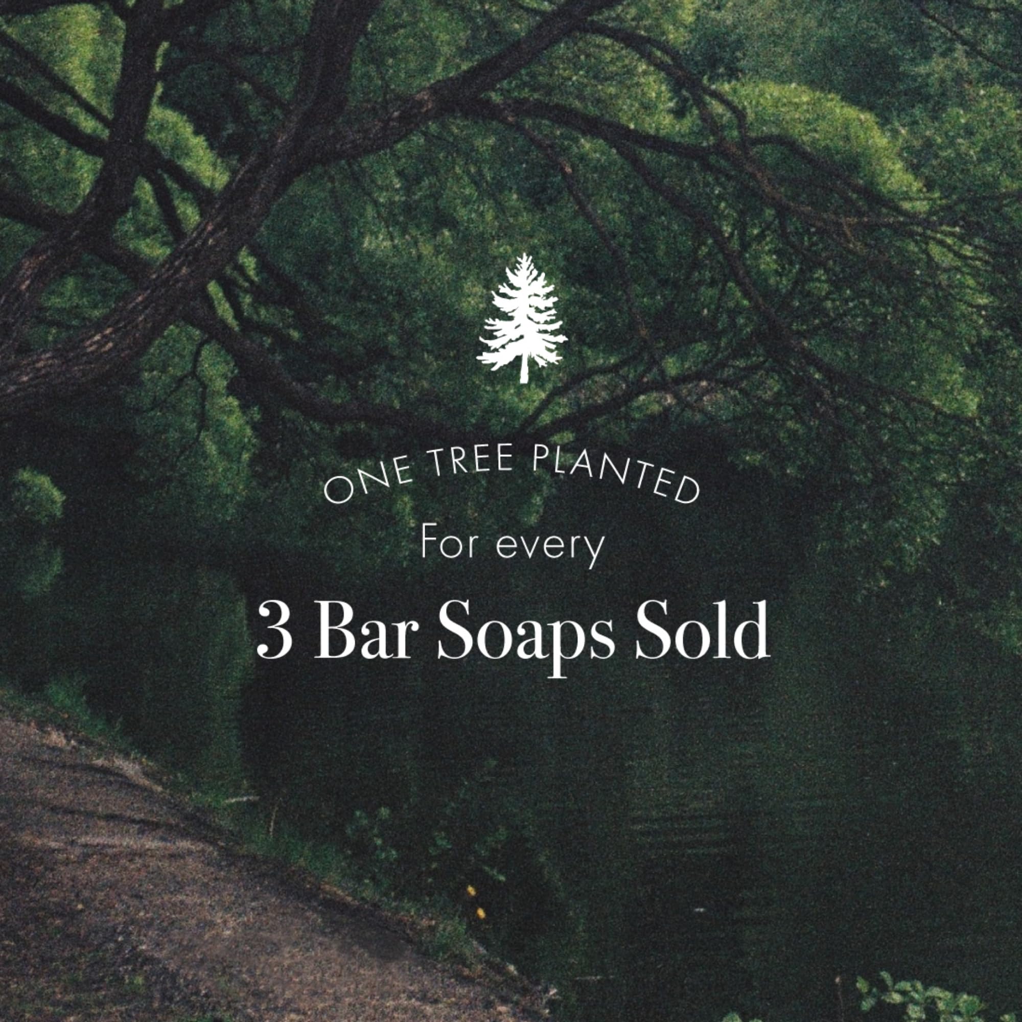 LAFCO New York Bar Soap Rosemary Eucalyptus – Ultra-Hydrating, All Skin Types, 7 oz