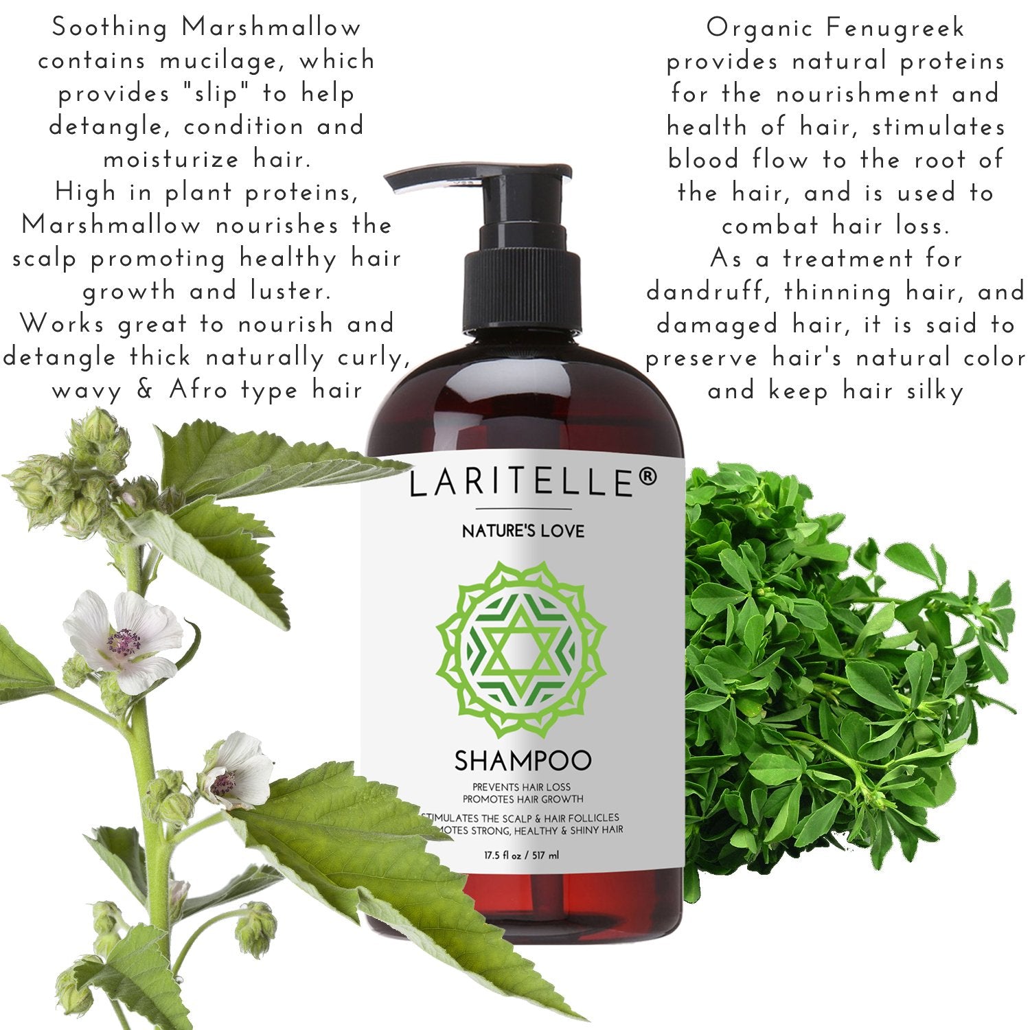 Laritelle Organic Shampoo & Conditioner – Hair Growth Support, No SLS, Gluten, Parabens