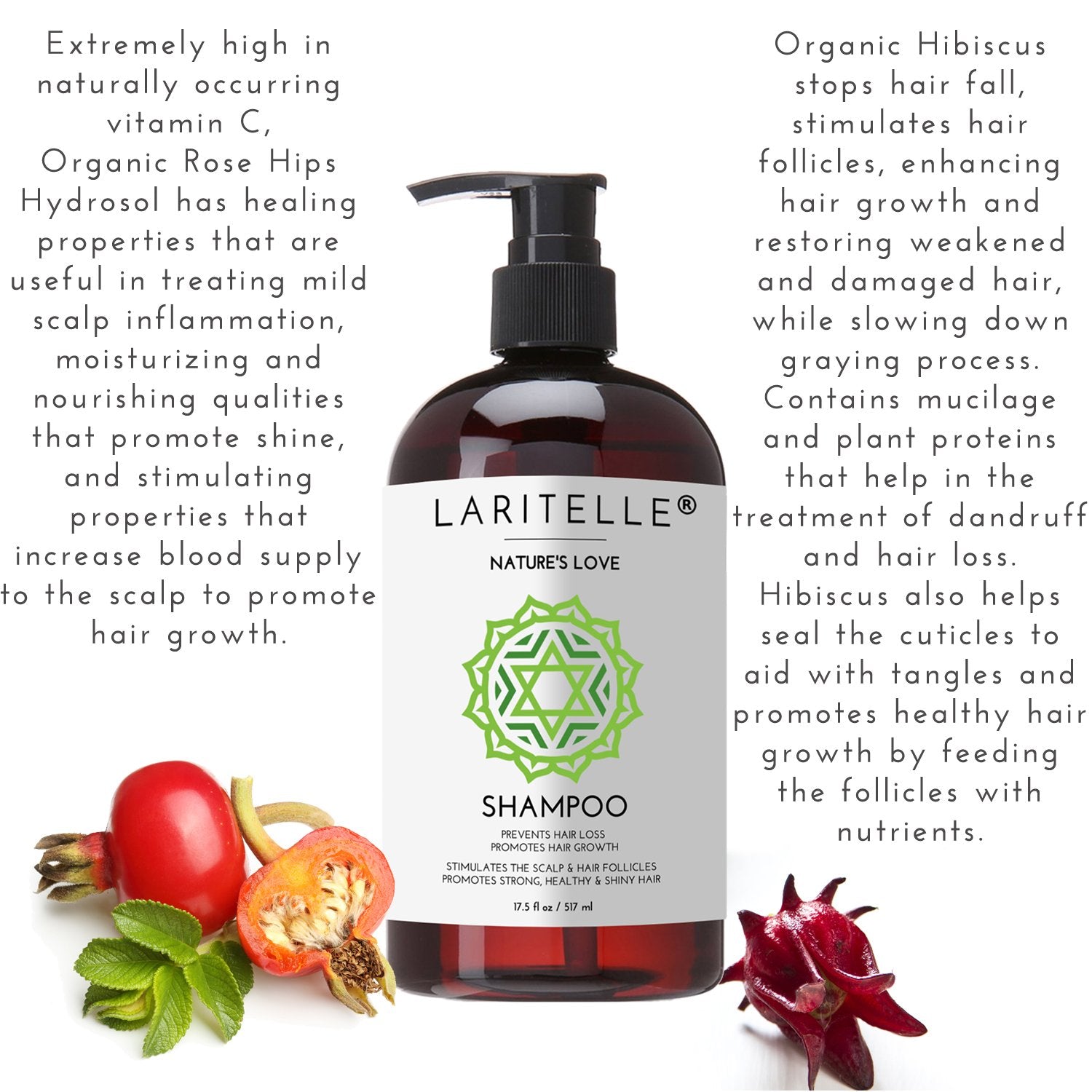Laritelle Organic Shampoo & Conditioner – Hair Growth Support, No SLS, Gluten, Parabens