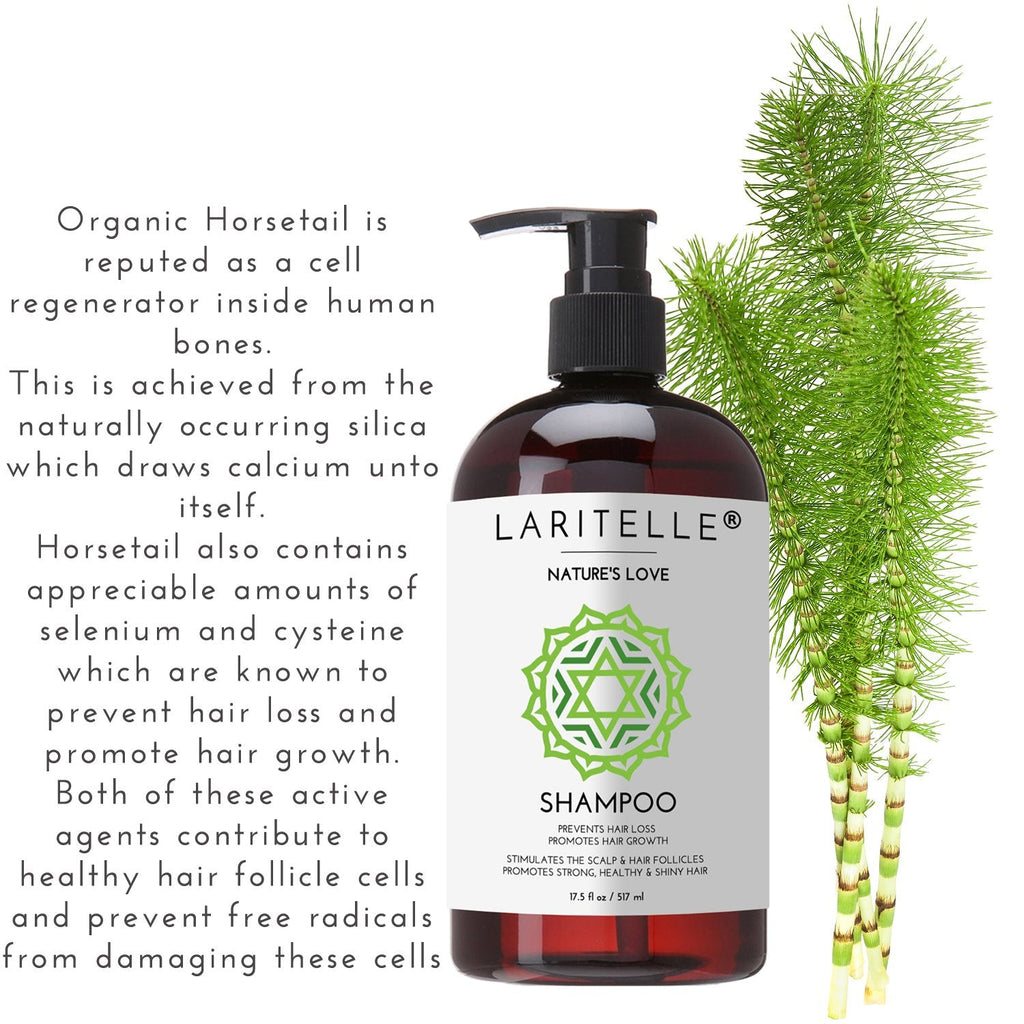 Laritelle Nature’s Love Organic Shampoo – 17.5 oz | Anti-Thinning Hair Growth, Color Safe, Made in California