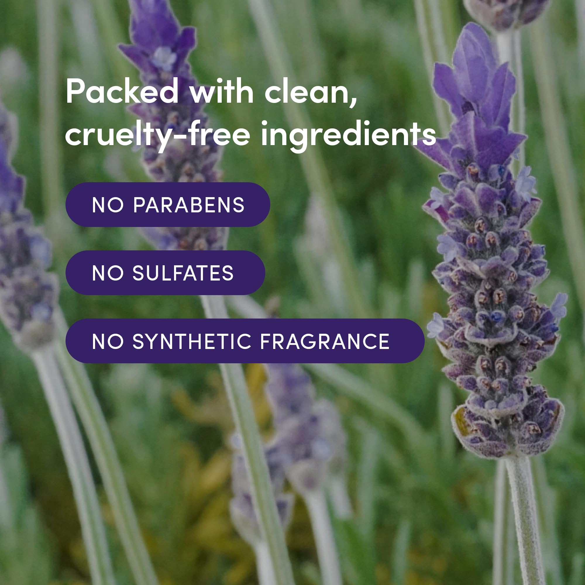 LATHER Lavender Lime Body Moisturizer – 8 oz Daily Hydration Lotion | Vegan & Cruelty-Free