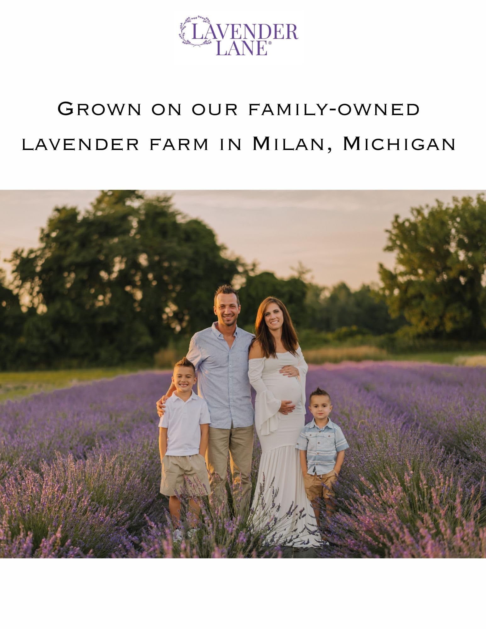 Lavender Lane Vanilla Lavender Hand & Body Lotion – Goat's Milk, Lavender Essential Oil, USA Made