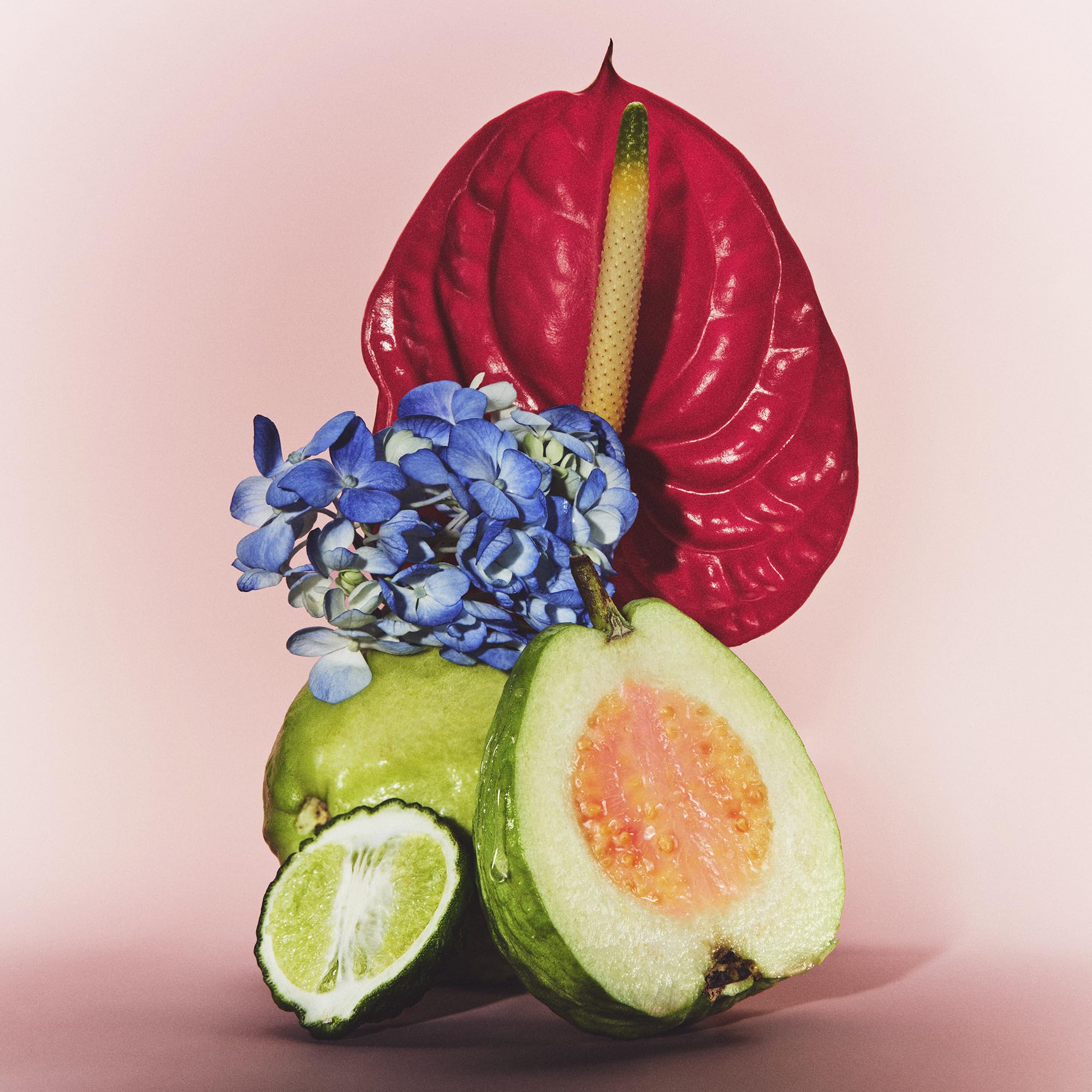 Le Monde Gourmand The de Goyave Eau de Parfum – Fruity Floral, Vegan & Cruelty-Free