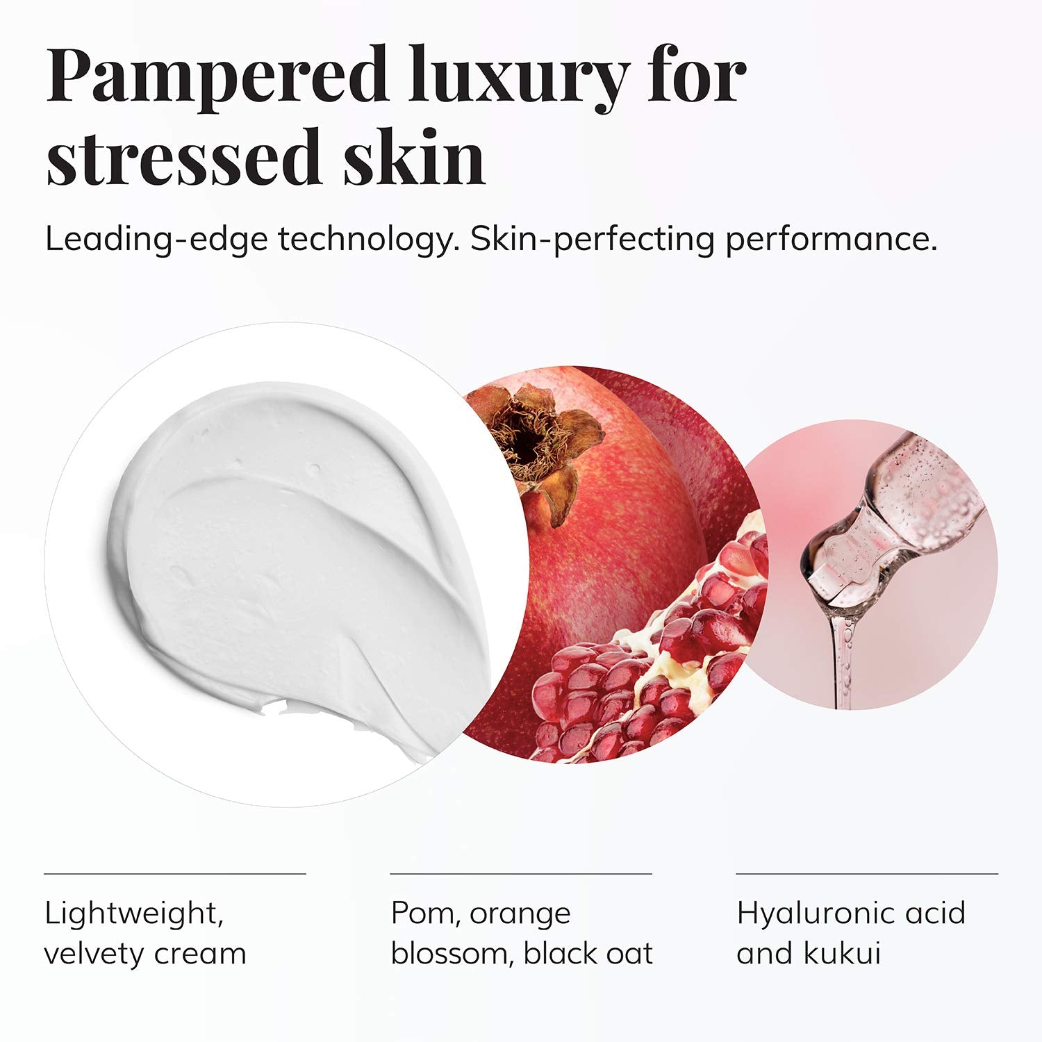 Le Mieux Pomegranate Massage Cream – Aromatic Neck & Face Moisturizer with Algae & Hyaluronic Acid