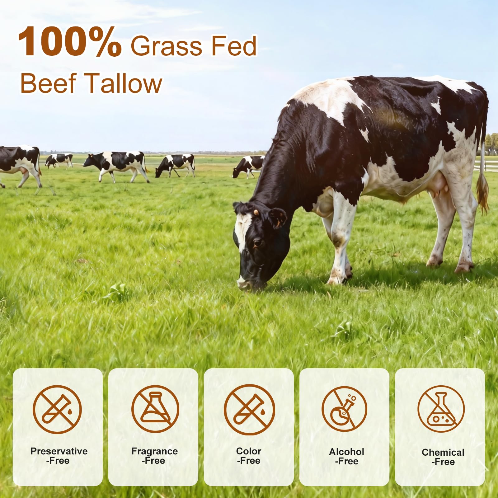 Lilei Beauty Beef Tallow Balm – Grass-Fed Skin Moisturizer with Honey & Olive Oil