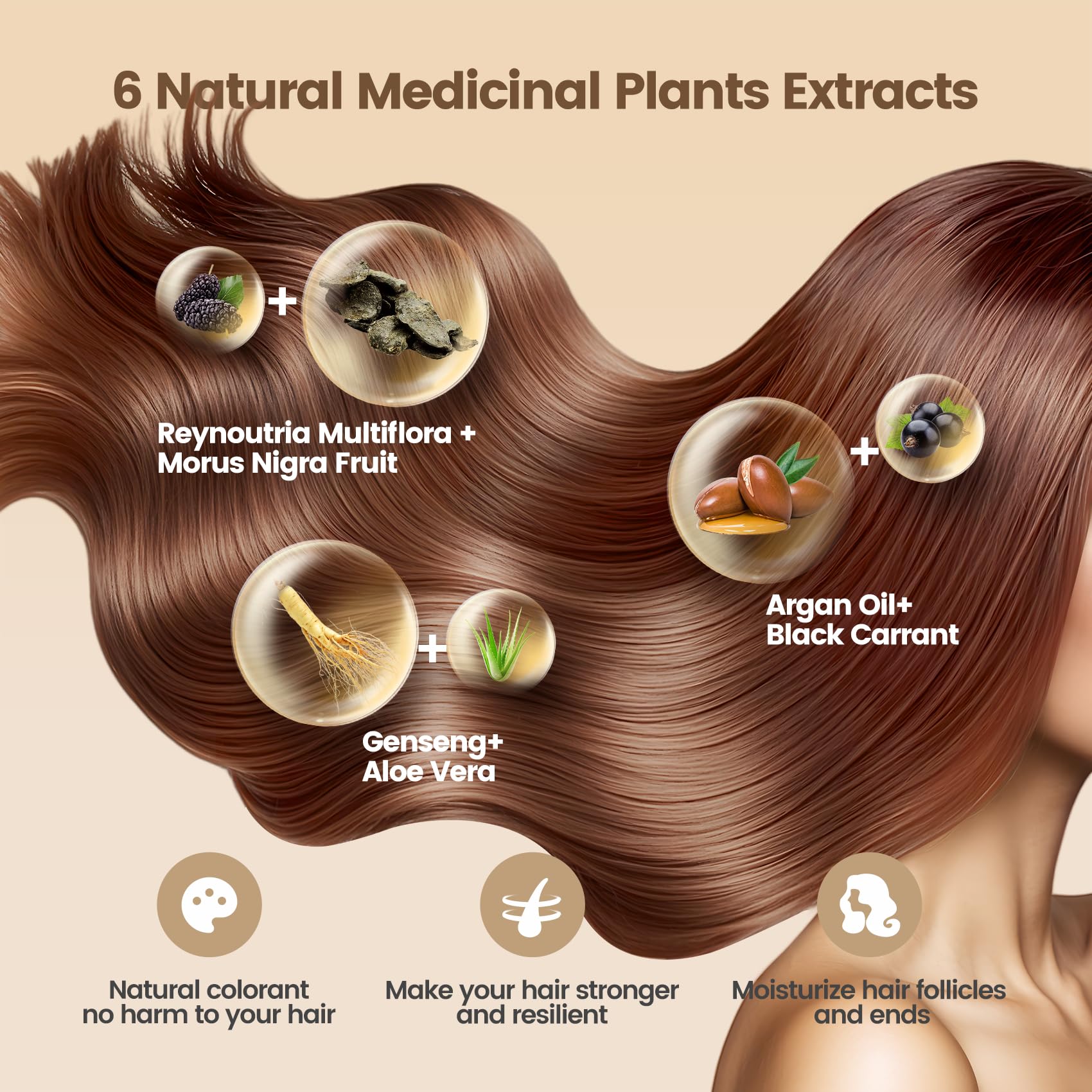Limer Hair Dye Shampoo Deep Honey Brown – 6 in 1 Gray Coverage, Herbal Semi-Permanent