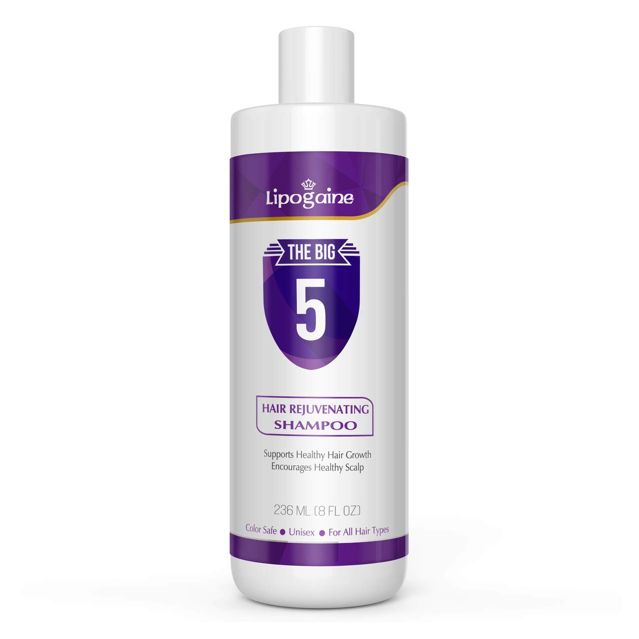 Lipogaine Big 5 Hair Stimulating Shampoo – 16oz All-Natural (Purple)