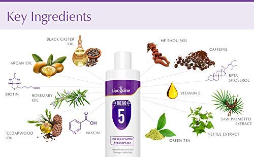 Lipogaine Big 5 Hair Stimulating Shampoo – 16oz All-Natural (Purple)