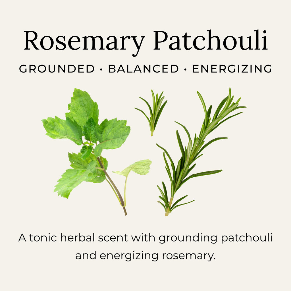 Little Seed Farm All Natural Deodorant Cream – Rosemary Patchouli | Aluminum-Free for Women & Men, 2.4 oz (68 g)