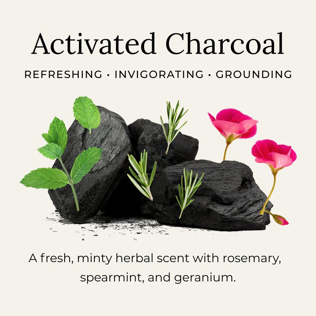 Little Seed Farm Activated Charcoal Deodorant Cream – Aluminum-Free, 24+ Hour Freshness (68g)