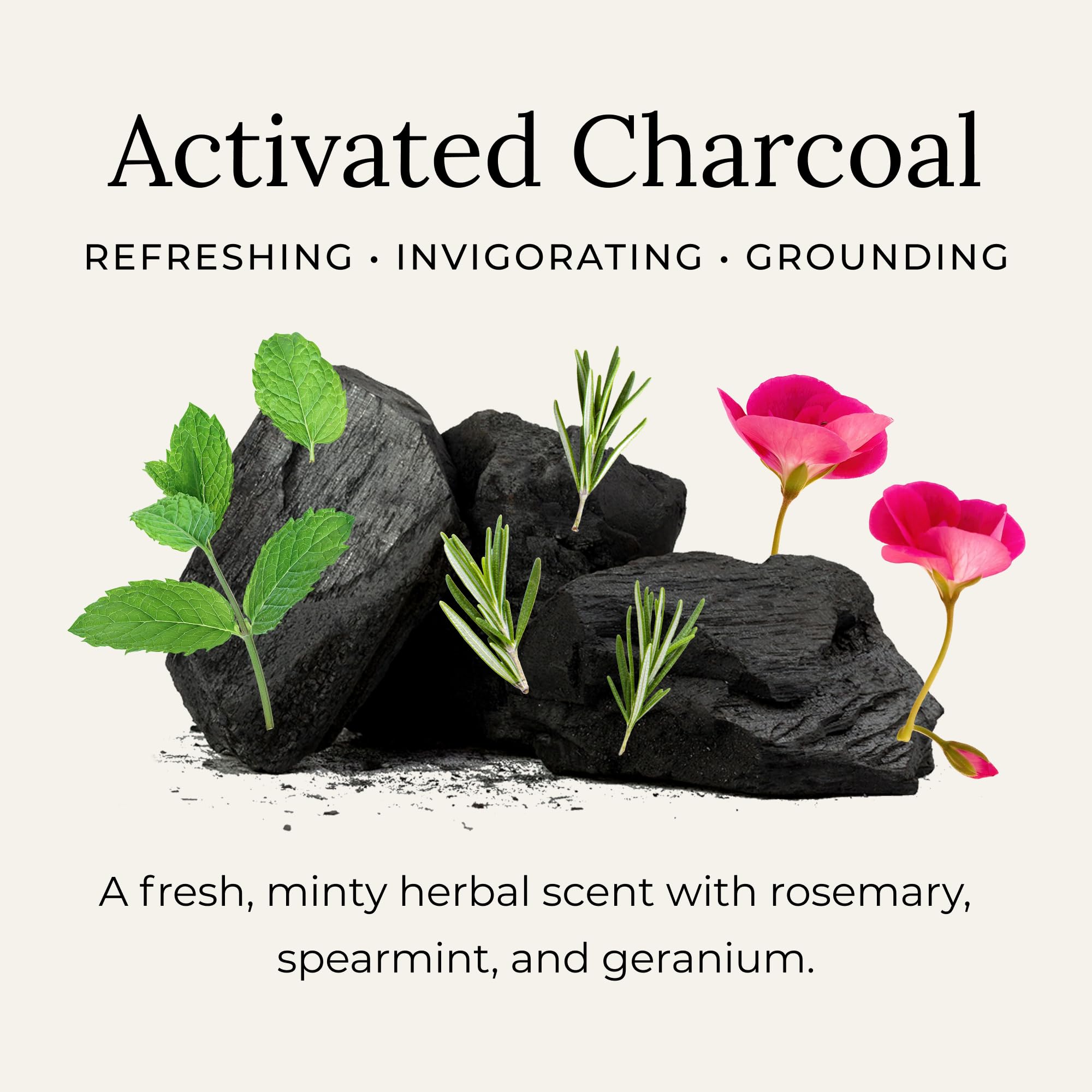 Little Seed Farm Activated Charcoal Deodorant Cream – Aluminum-Free, 24+ Hour Freshness (68g)