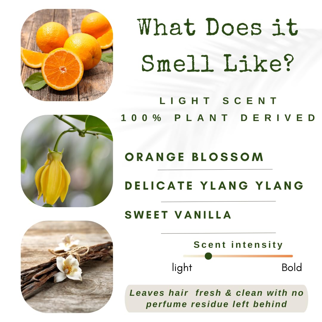 liv Nature Conditioner Bars – Detangle, Strengthen & Moisturize | Paraben & Sulfate Free | Travel Essentials | Vegan | Made in USA