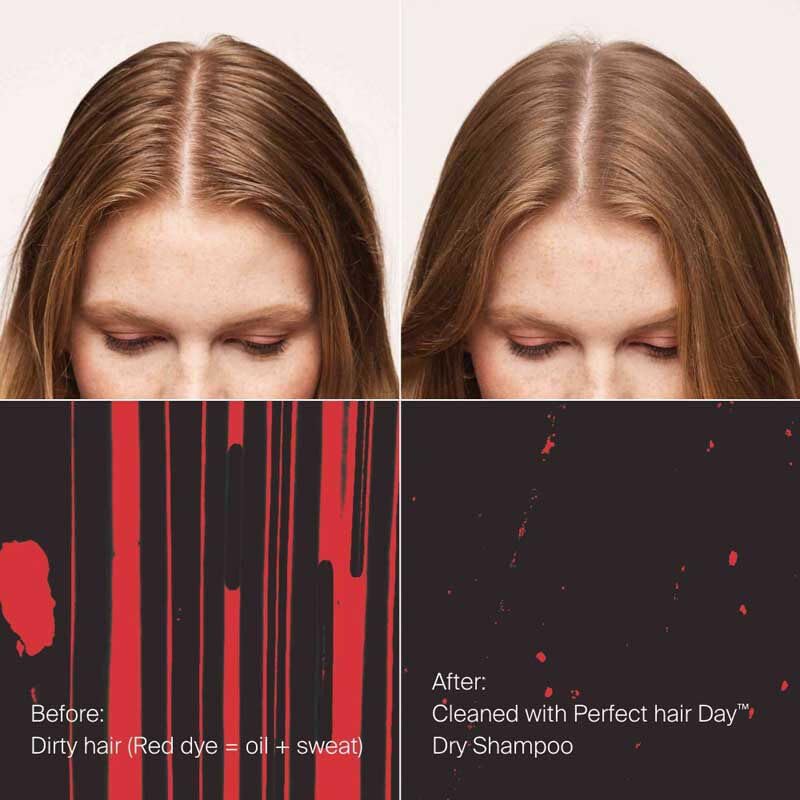 Living Proof Hydrated Hair Essentials Kit | Travel-Size Shampoo, Conditioner, 5-in-1 Styling & Dry Shampoo