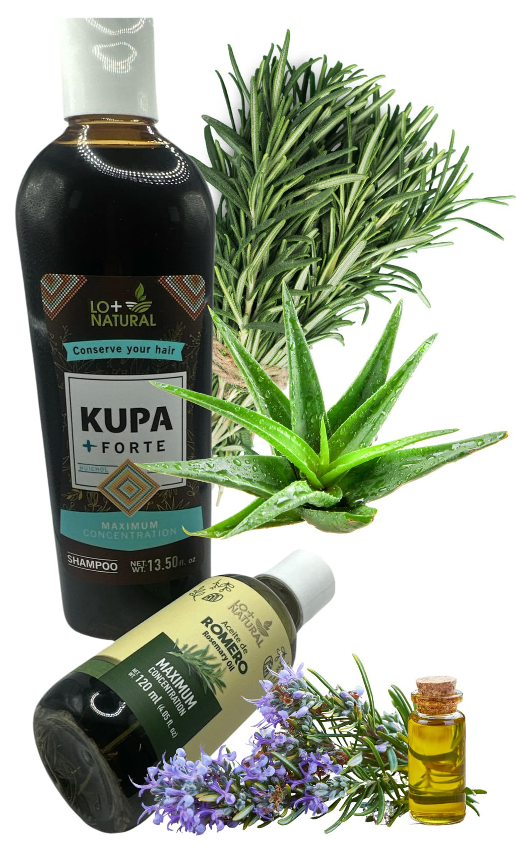 LO+NATURAL Rosemary & Aloe Shampoo De Romero & Sabila – Organic, Huichol Heritage