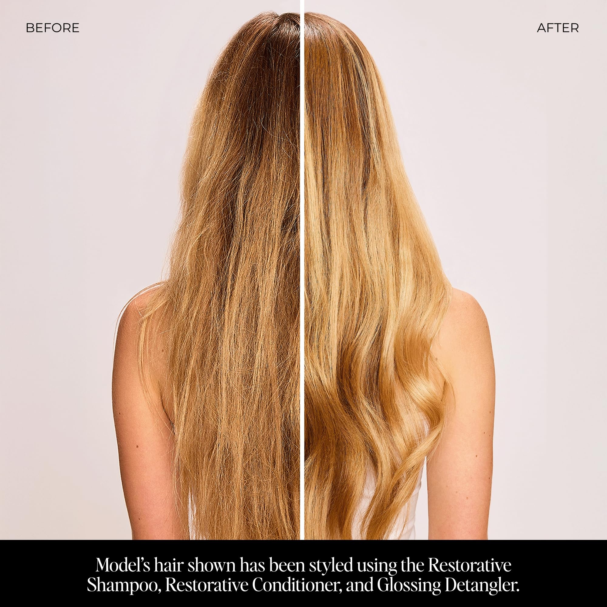 LolaVie Restorative Conditioner – Hydrates, Strengthens & Fights Frizz (8.5 oz)