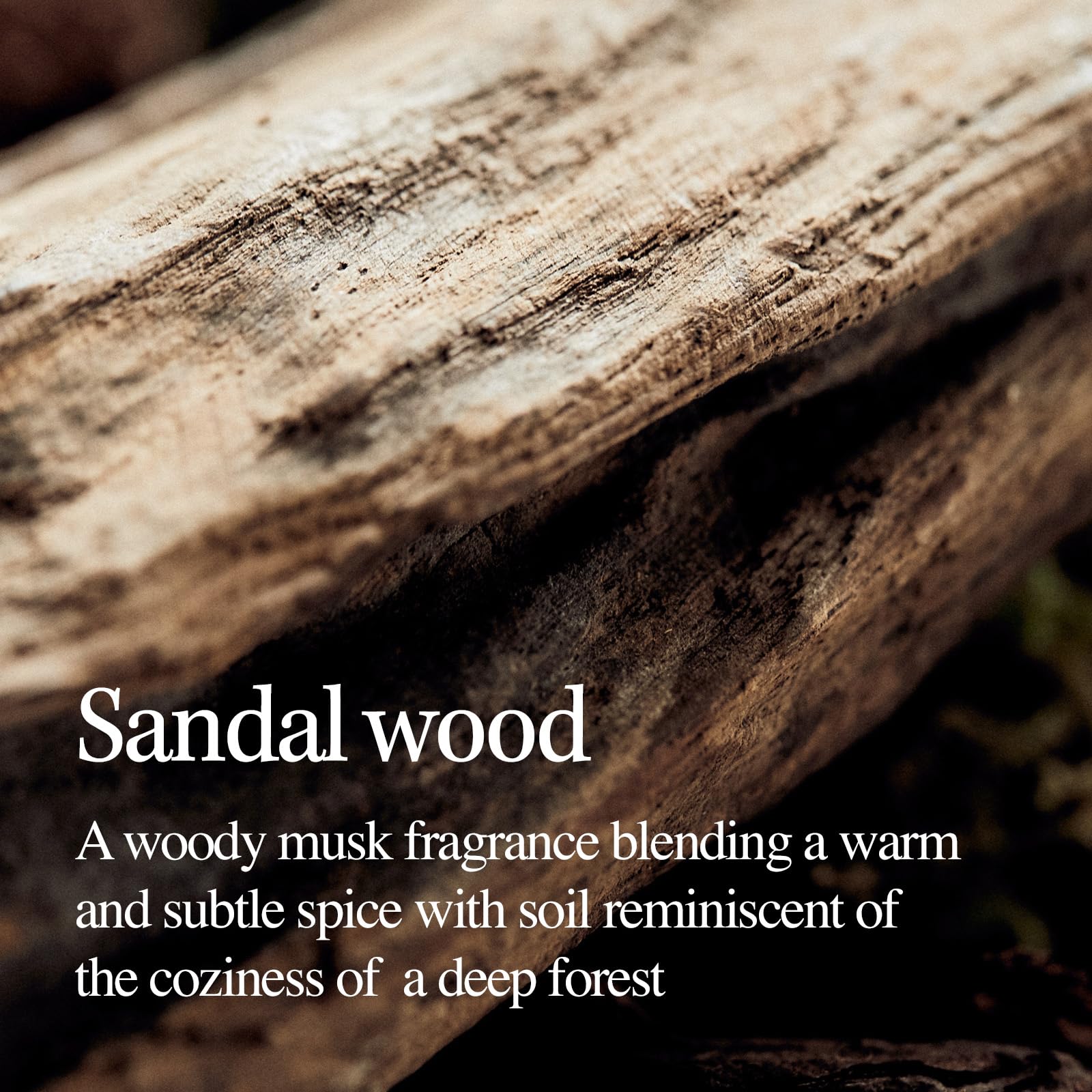 LONGTAKE Sandalwood Intensive Perfume Body Wash – Hydrating, Fragrance-Lasting, Skin Barrier Support
