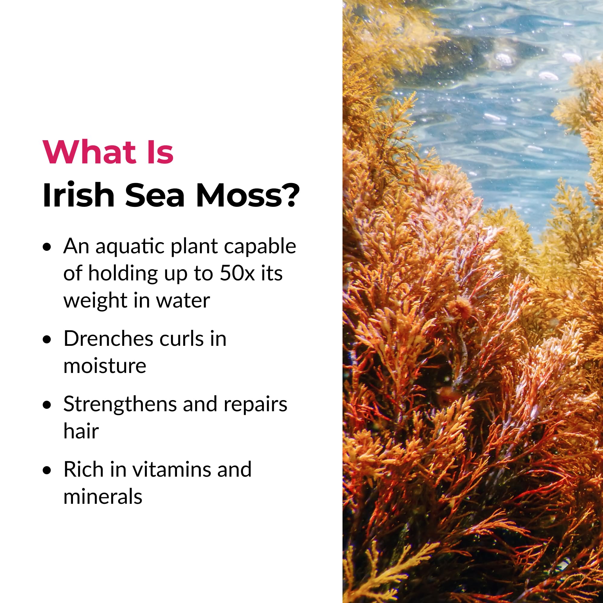 Love Ur Curls Irish Sea Moss Hair Gel — Medium Hold, Vegan & Cruelty-Free, 236mL