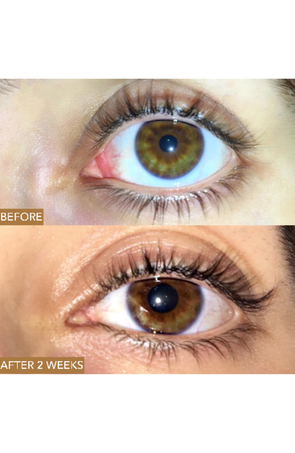 Moon Boost by Luna Nectar – Vegan Lash & Brow Serum (Fragrance-Free, Fast Results)