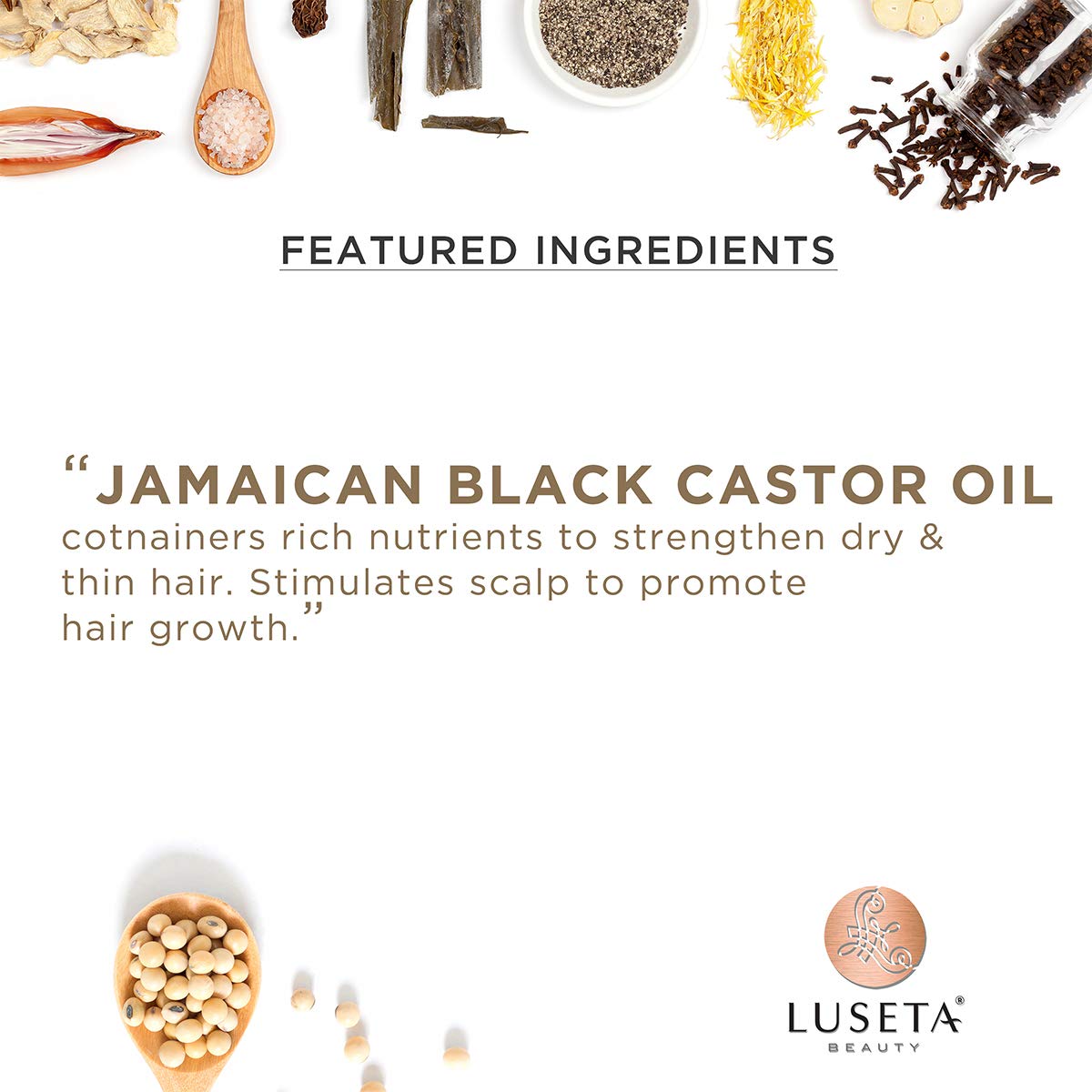 Luseta Jamaican Black Castor Oil Shampoo – Strengthen & Restore Fine & Dry Hair | Scalp Care 16.9 oz