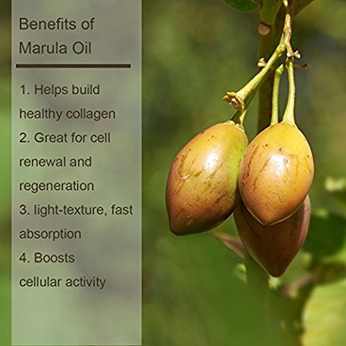 Luseta Marula Oil Shampoo & Conditioner Set for Fine & Dry Hair – 2 x 16.9 oz