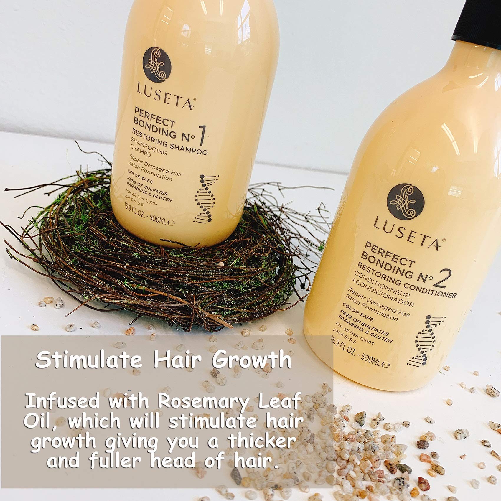 Luseta Perfect Bonding Restoring Shampoo — Bond Strength & Color Longevity