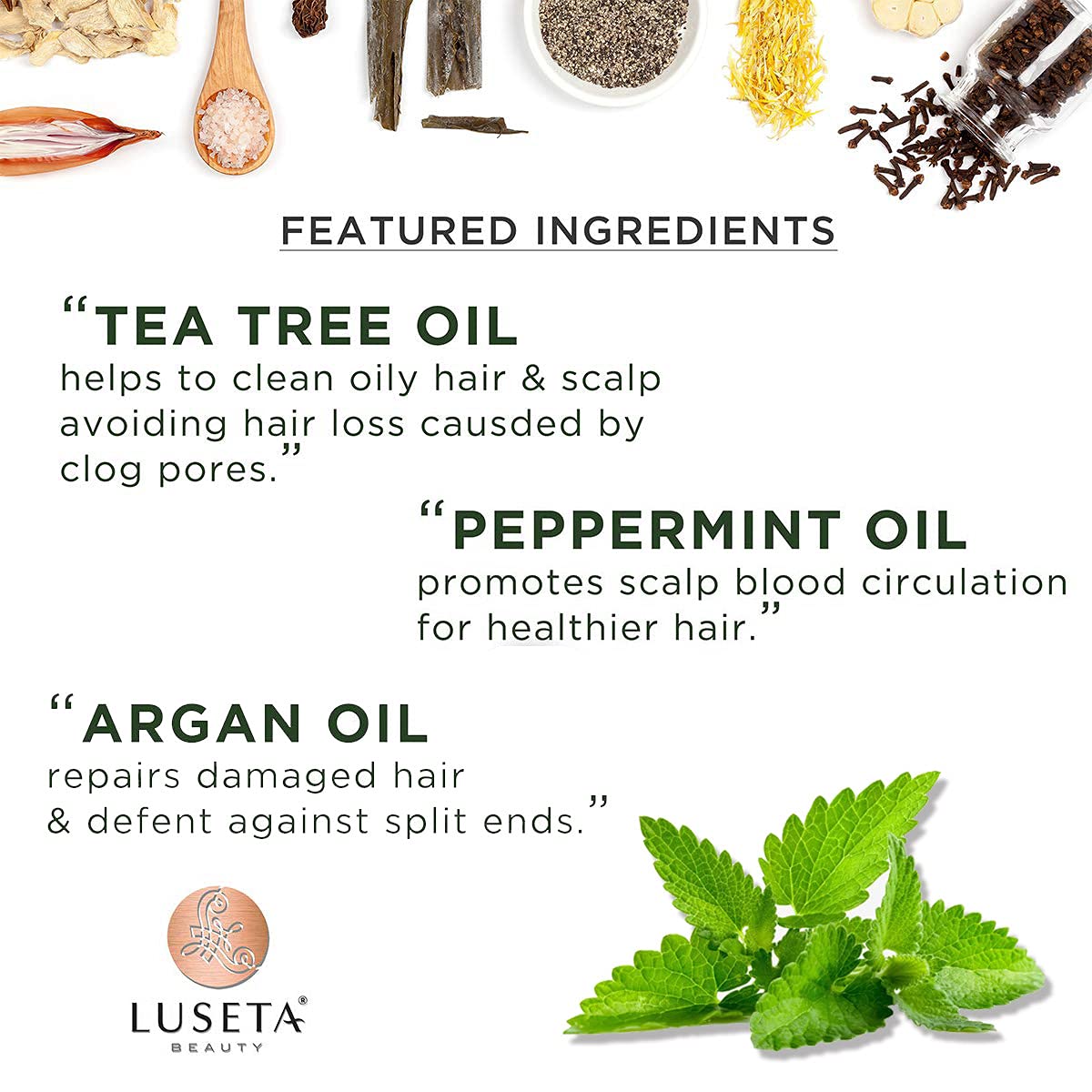 Luseta Tea Tree & Mint Shampoo - Cleansing & Soothing for All Hair Types, 16.9 oz
