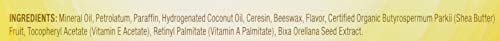 Lypsyl Lypmoisturizer Original 0.1 oz | Pack of 5 | Long-Lasting Lip Moisture