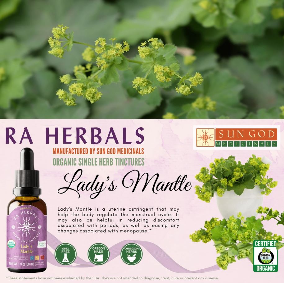 Organic Lady's Mantle Tincture - MENOPAUSE AND MENTRUAL RELIEF