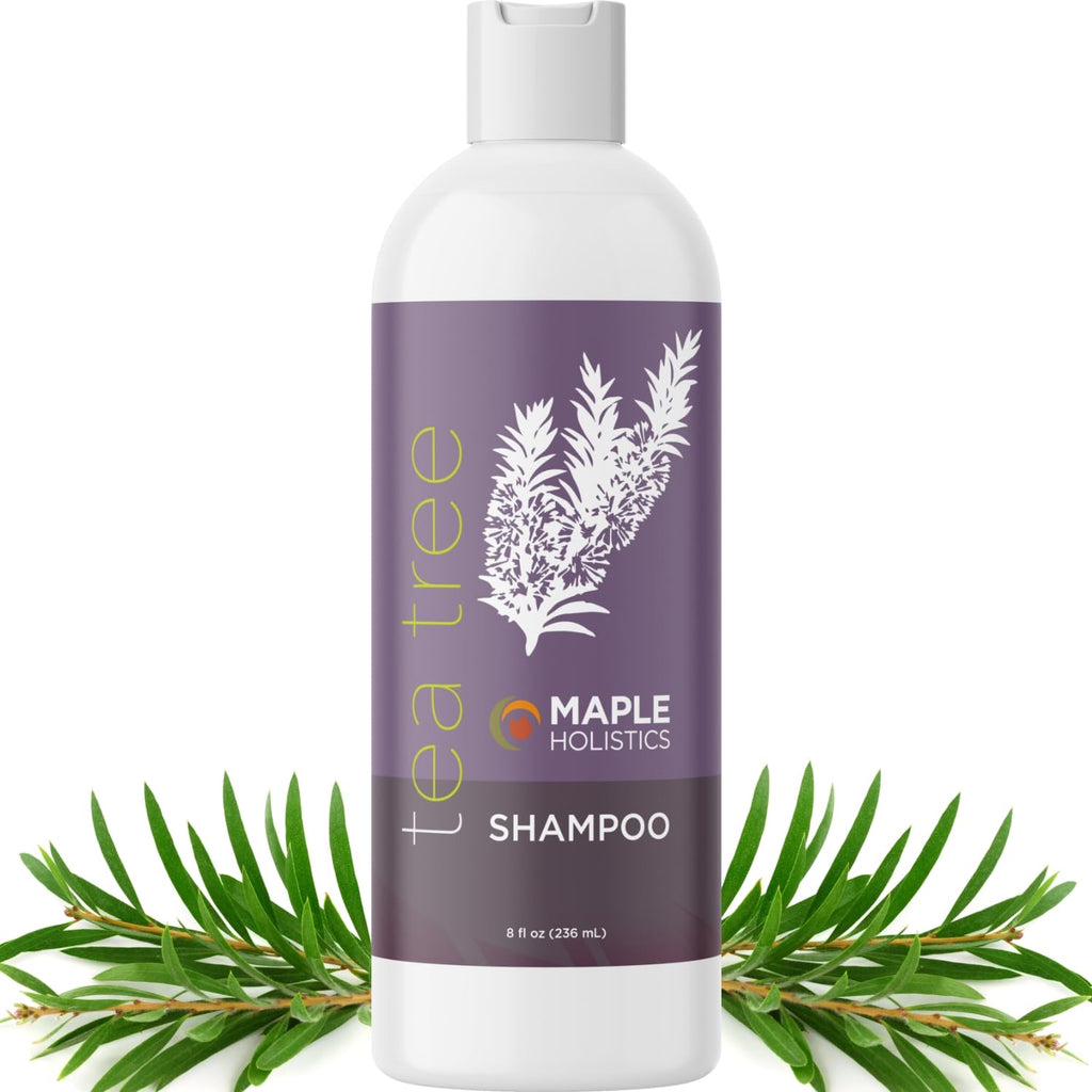 Maple Holistics Tea Tree Shampoo for Oily Hair - Clarifying, Sulfate & Paraben Free