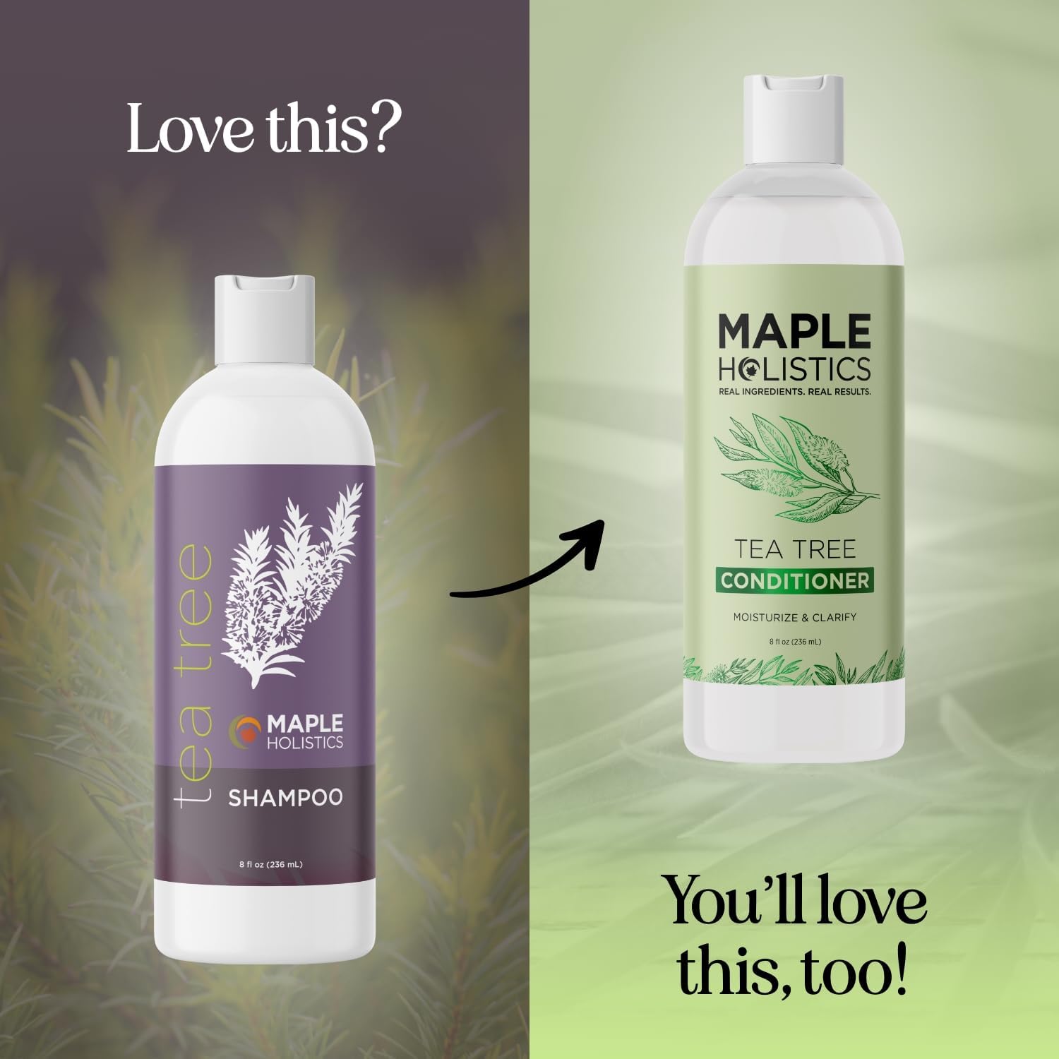 Maple Holistics Tea Tree Shampoo for Oily Hair - Clarifying, Sulfate & Paraben Free
