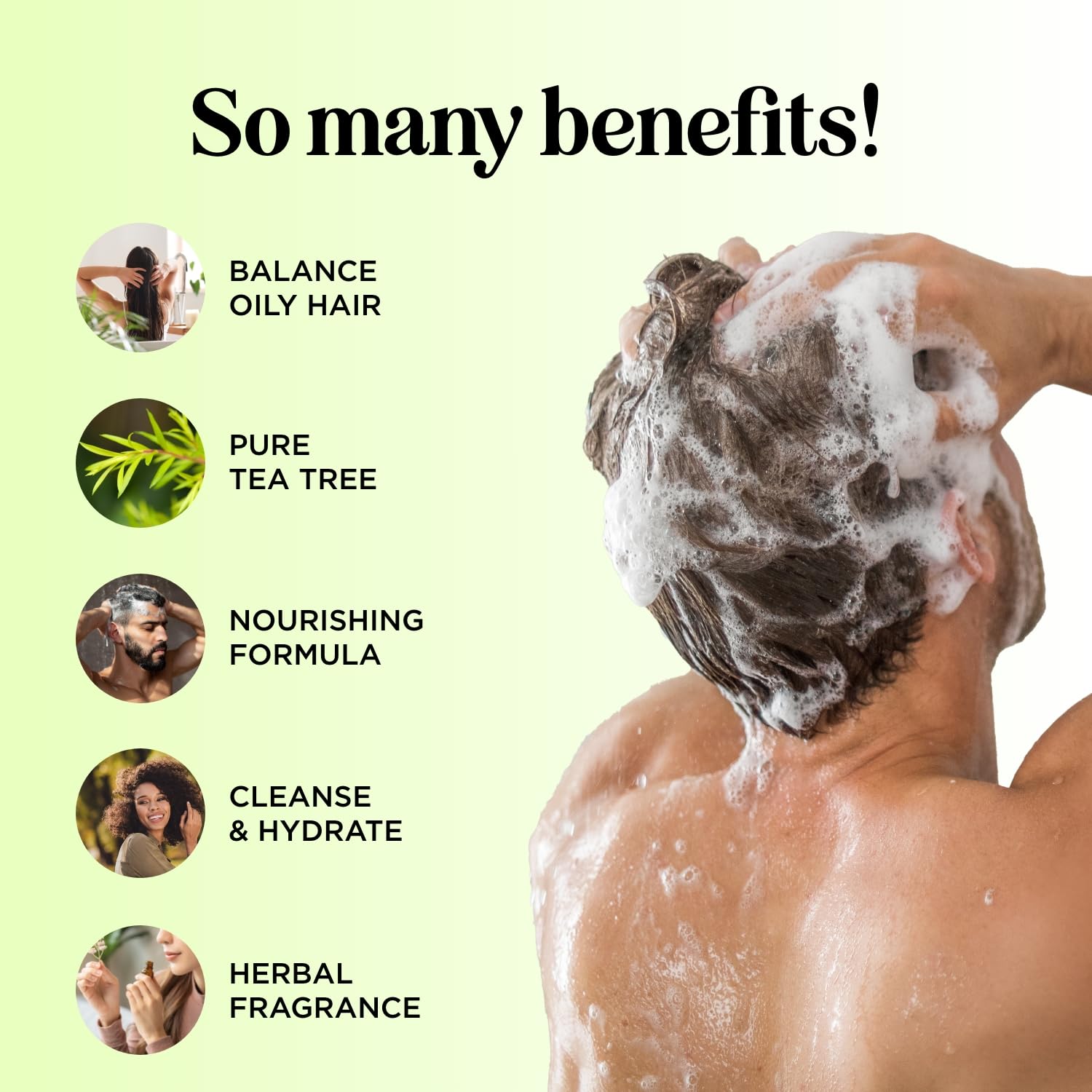 Maple Holistics Tea Tree Shampoo & Conditioner Set — Sulfate Free for Oily Hair & Build-Up