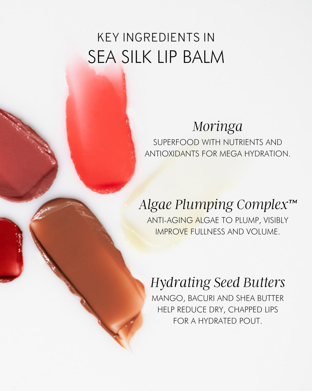 MARA Sea Silk Lip Balm Treatment - Anti-Aging Hydration + Algae Plumping Complex, Toasty Rouge, 0.5 oz