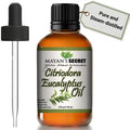Mayan's Secret Citriodora Eucalyptus Oil – Pure Carrier & Essential Oil, 4oz