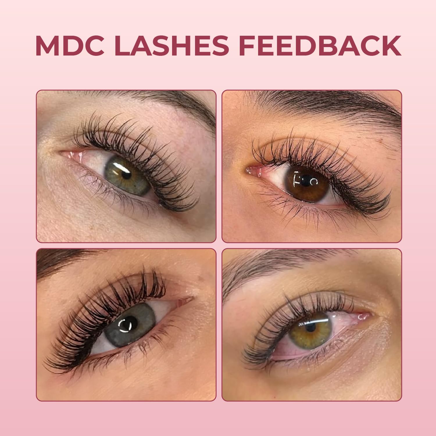 MDC LASHES Promade Eyelash Fans – Ultra Speed Premade Lashes (5D-20D, C/CC/D, 10-18mm)