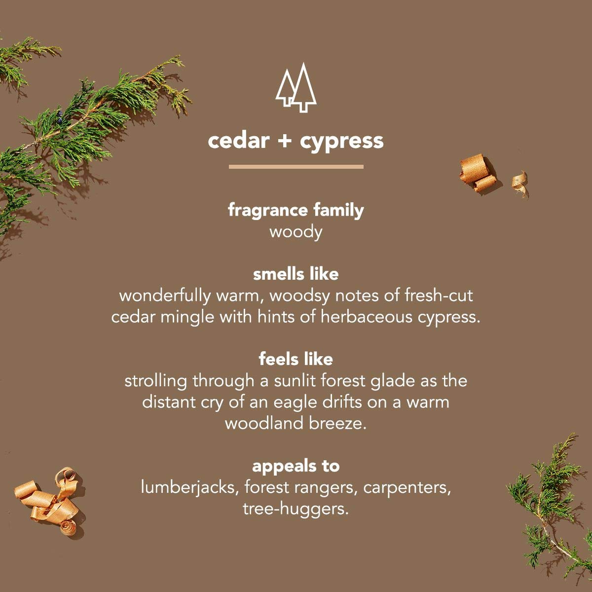 Method Mens Aluminum-Free Deodorant Cedar & Cypress – 2.65 oz Sticks (6-Pack)