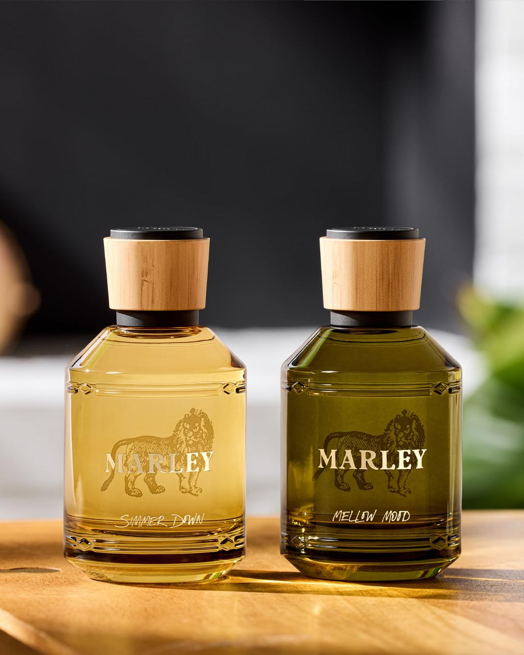 Michael Malul Marley Simmer Down EDP 100ml – Fresh, Warm & Uplifting