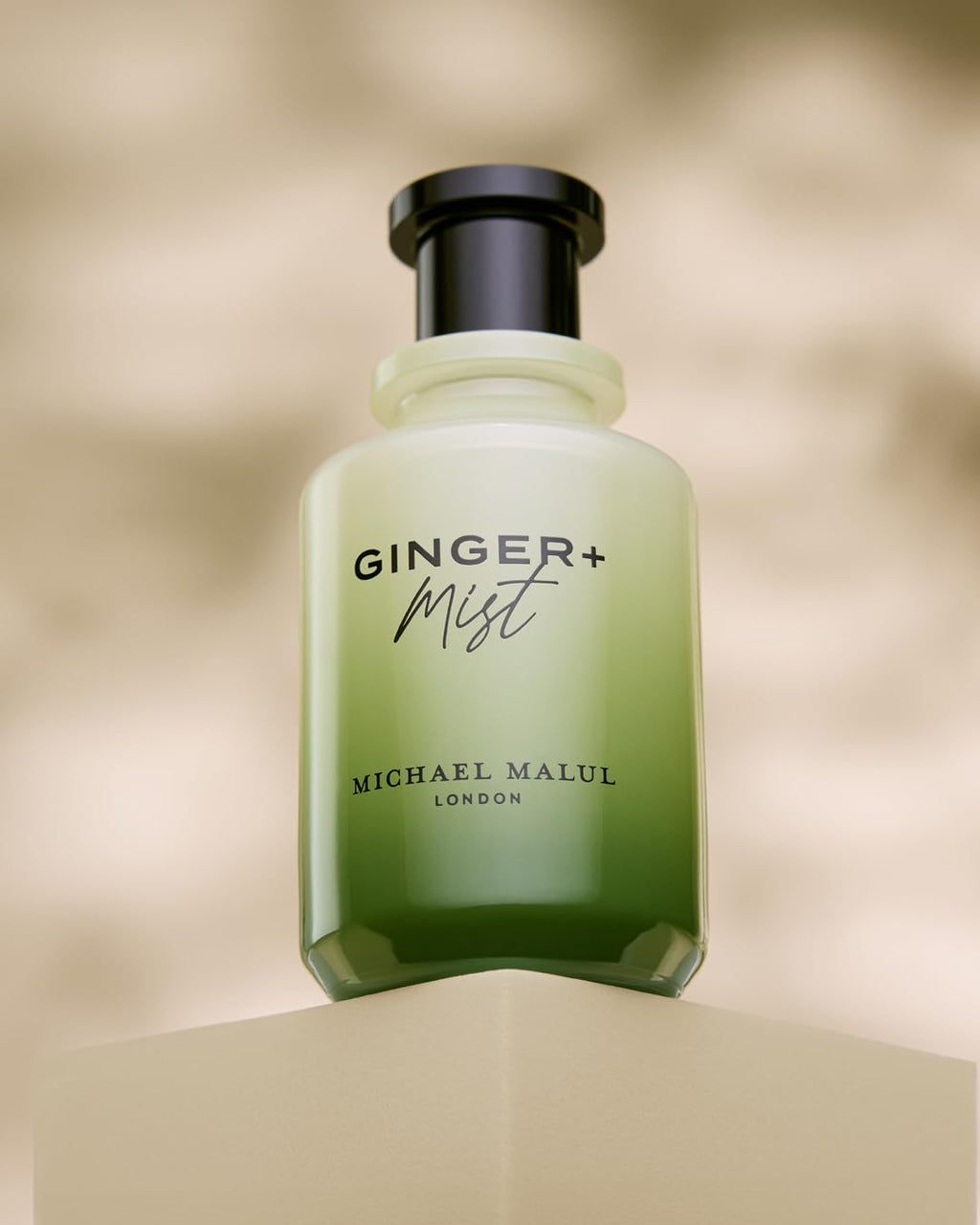 Michael Malul Ginger + Mist Eau de Parfum for Men – 100ml | Fresh Ginger & Mist