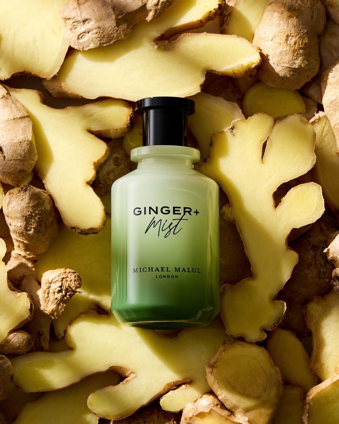 Michael Malul Ginger + Mist Eau de Parfum for Men – 100ml | Fresh Ginger & Mist