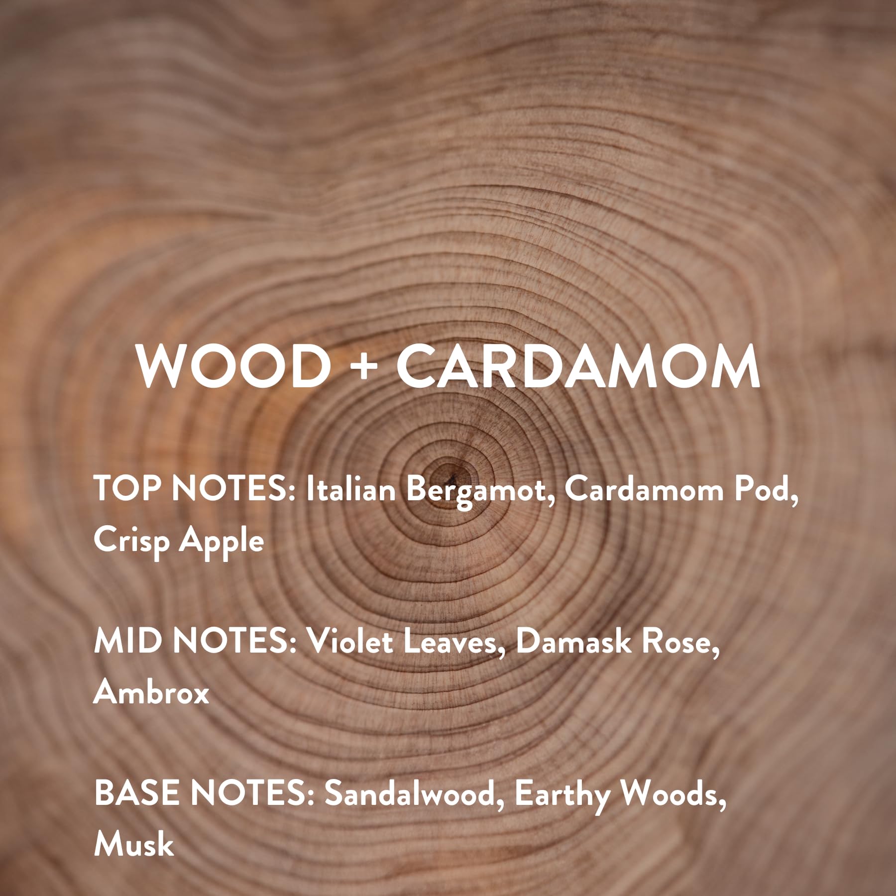Michael Malul Wood + Cardamom – 10ml Travel Size Fragrance