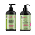 Mielle Rosemary Mint Biotin Infused Strengthening Shampoo & Conditioner Bundle – Stronger, Healthier Hair