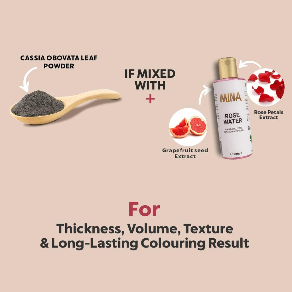MINA iBrow Henna Hair Color Kit – Ammonia-Free, Gray Coverage, Lasts 6 Weeks | Vegan & Cruelty-Free | Blonde