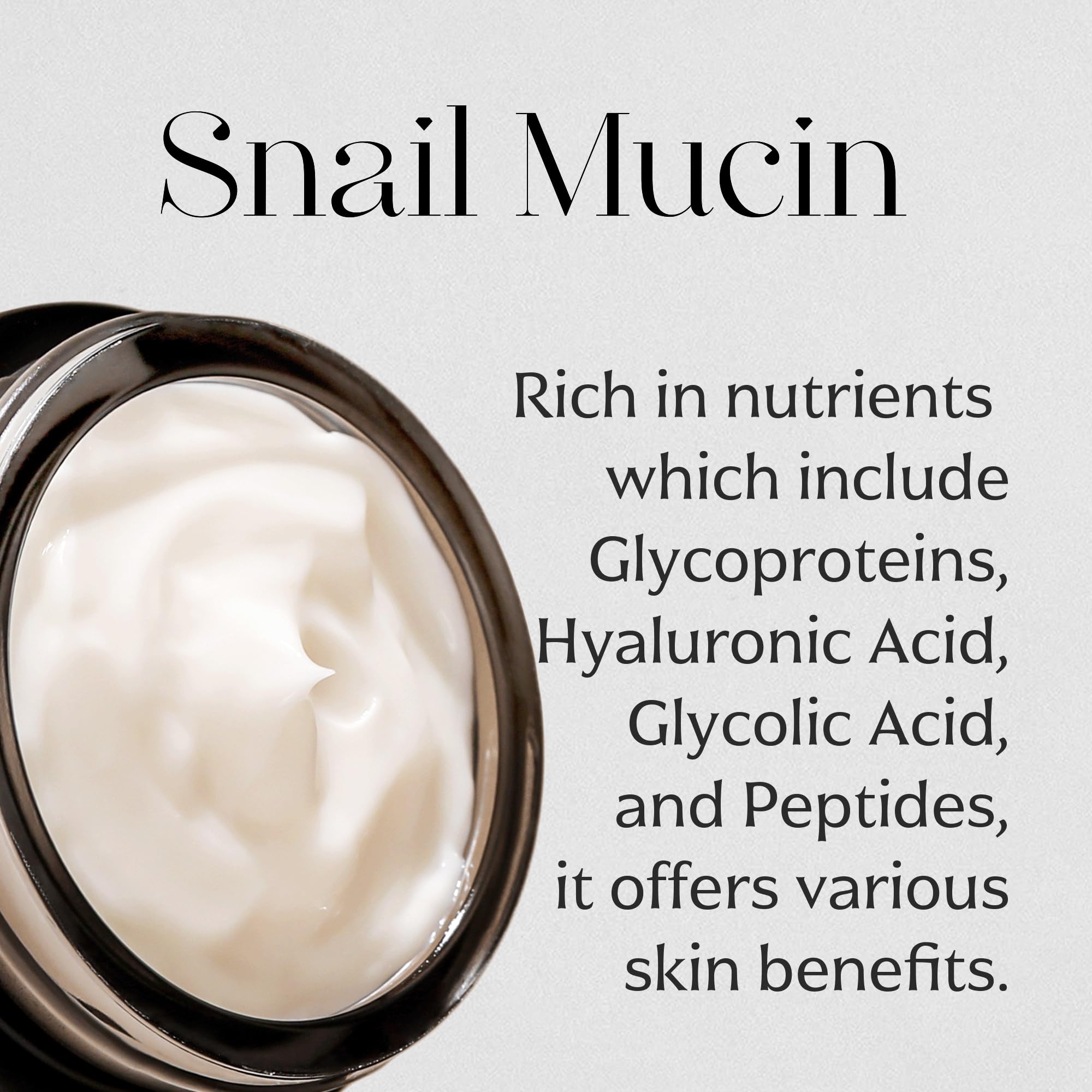 MIZON Black Snail All In One Cream – Intensive Snail Mucin Moisturizer 2.54 fl oz