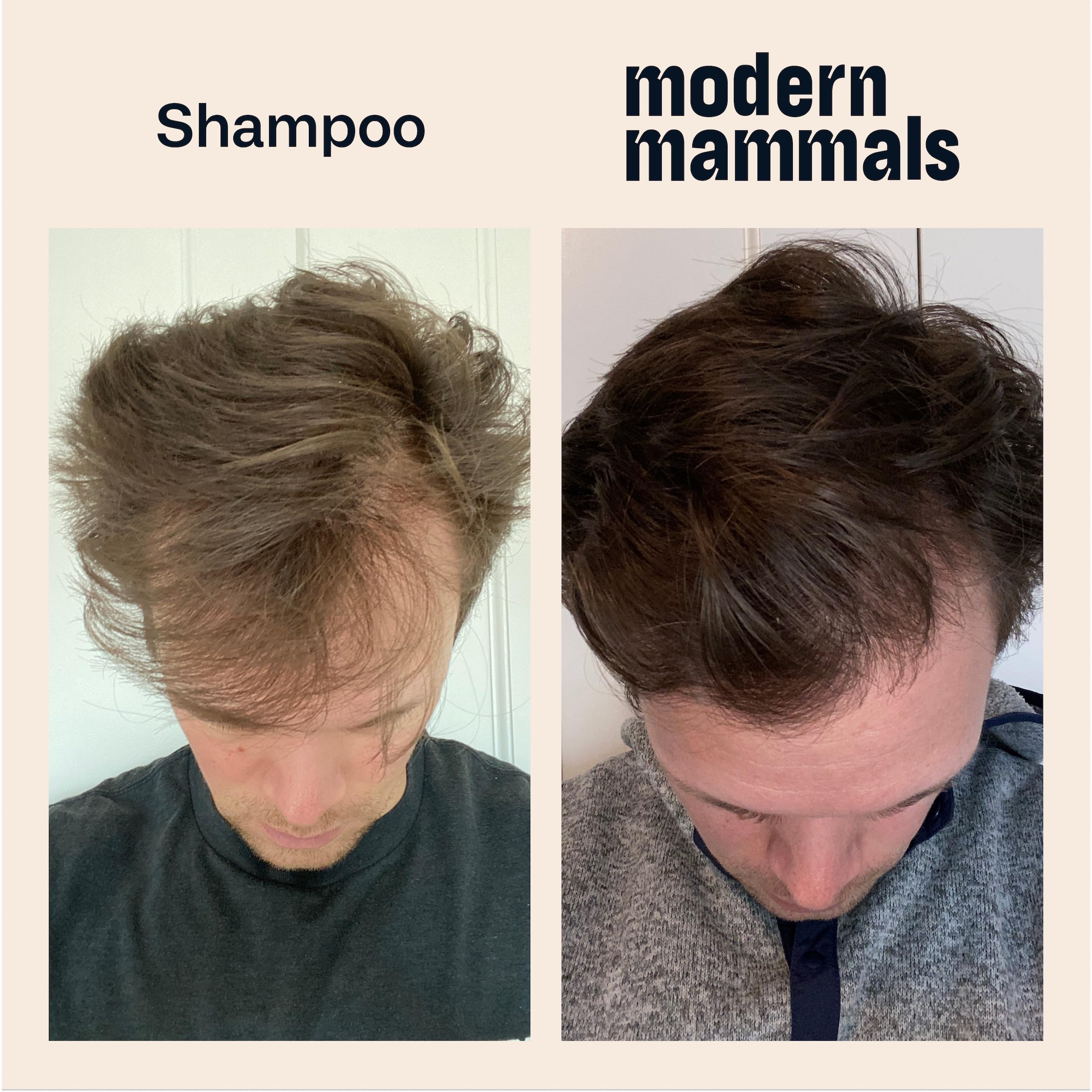 Modern Mammals Light Shampoo Bar – Gentle, Fragrance-Free, Vegan (2 Pack x 2.4oz Bars)