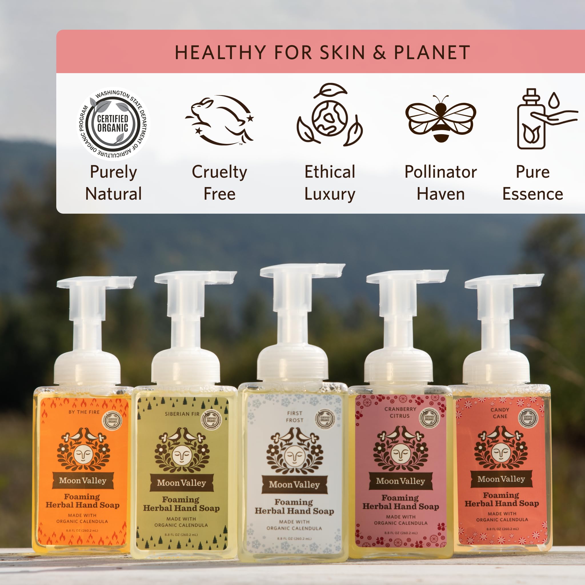 Moon Valley Organics Herbal Foaming Hand Soap – Candy Cane, Vegan & Recyclable Bottle (Two-Pack)