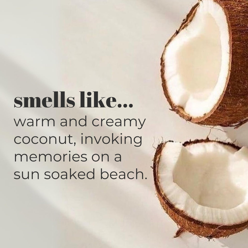 Mountain Ocean Skin Trip Coconut Soap – 4.5oz Bar (Pack of 6) | Gentle Cleansing & Hydration